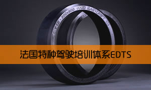 EDTS,easydrift,飘易环